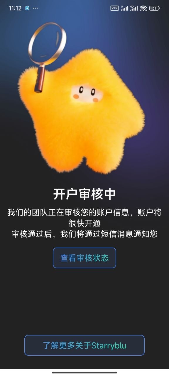 审核